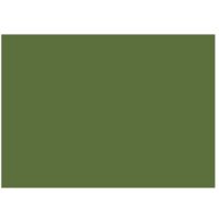 Vernice acril-uretanica all'acqua gradazioni verde 750ml 2.5lt lucida satinata - 2,5 lt - lucido - RAL 6025 Verde felce