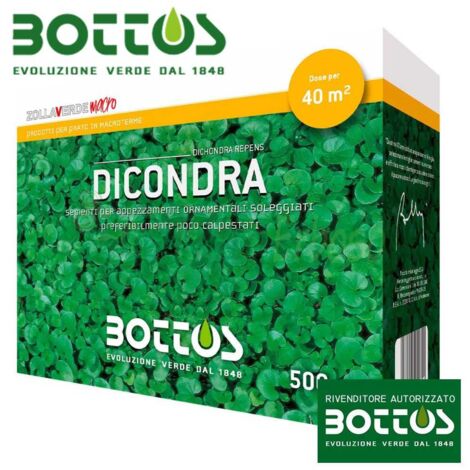 Graines de dichondra repens 500g – Gazon couvre-sol pour espaces ombragés – Faible entretien et tolérance à la chaleur – Bottos