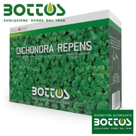 Graines de dichondra repens 1 kg – Gazon couvre-sol résistant à la chaleur – Pour espaces ensoleillés et ombragés – Faible entretien – Bottos