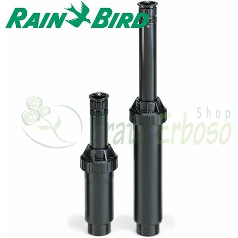 US-418 - Arrosage dissimulé gamme de 5,5 mètres (1/4)