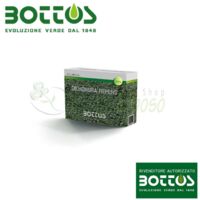 Dichondra Repens - Graines pour pelouse, 100 g