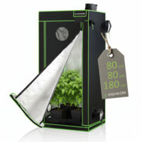 HIGHWERK Tente de culture 80 x 80 x 180 cm Tente de culture intérieure pour plantes noir vert