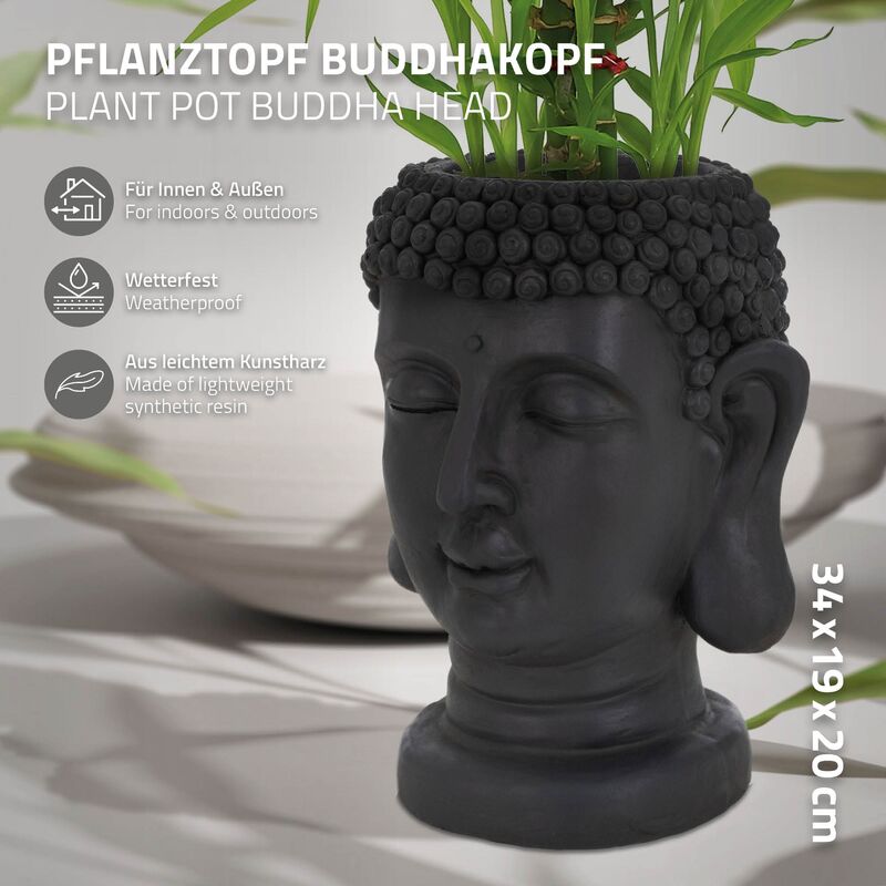 Immagini Stock - Arredamento Elegante Per La Casa. Vaso Da Fiori In  Ceramica A Forma Di Testa Di Buddha Con Pianta Verde Che Cresce Come  Un'acconciatura. Giardino Tropicale In Casa. Piante Domestiche