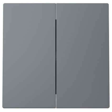 Tecla doble interruptor-conmutador Serie Alba de Niessen Gris