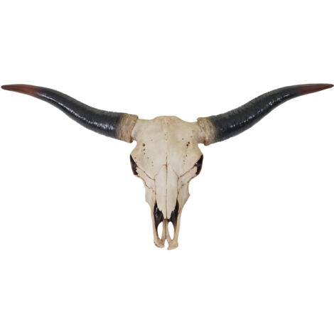 Deko Schädel 75cm HHG-929, Polyresin Stier Bulle Longhorn Kopf Trophäe, In-/Outdoor natur