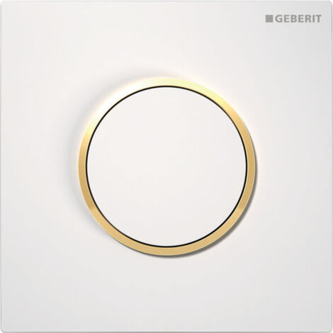 Commande d'urinoir Geberit avec déclenchement pneumatique de la (1/4)