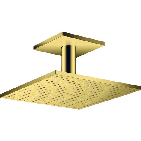 hansgrohe AXOR ShowerSolutions douchette suspendue 300/300 2jet, (1/2)