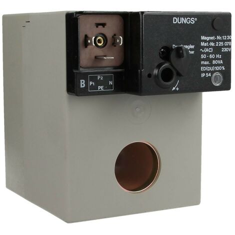 Dungs Aimant complet N° 1230 IP 54 230 VAC