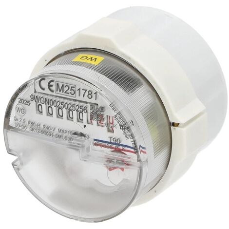 Capsule de mesure EAS SP pour l'eau froide et chaude