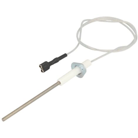 Electrode d ionisation wtc15/25/32-a Weishaupt 48101130172