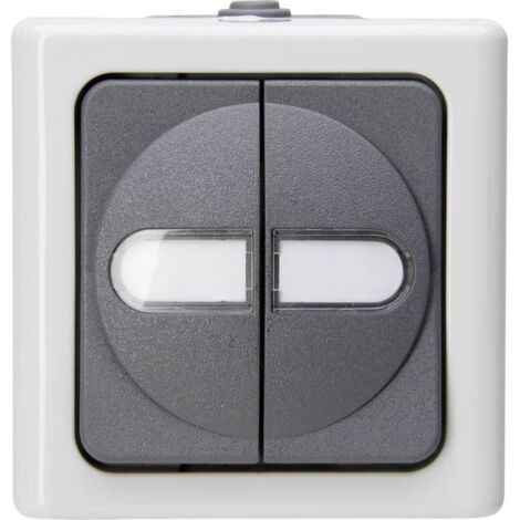 Interrupteur double BLUE ELECTRIC (1/2)