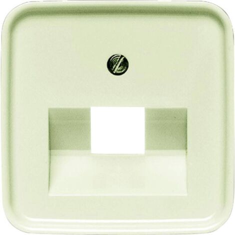Enjoliveur pour boîte UAE simple Busch-Duro 2000® SI (1/2)