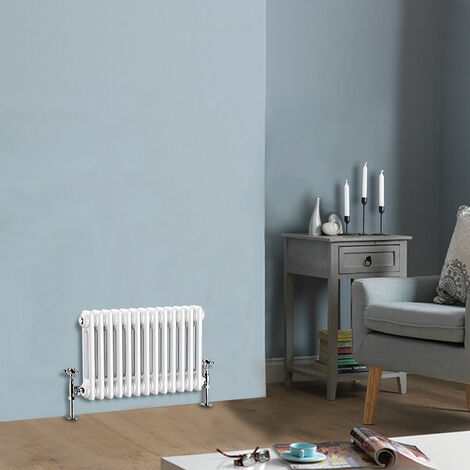 300 x 605 mm Traditional White Horizontal Cast Iron Radiator Double Column (1/4)