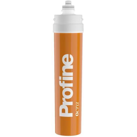 Alloggiamento Portafiltro Acqua 10" Con Valvola Riduzione Pressione E Filtro Sedimenti - Porte Ottone 3/4" - 3