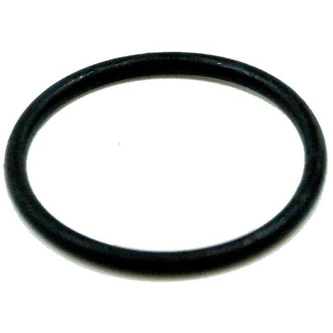Raccordi O-ring Per Filtro Cintropur Nw18 / Nw25 / Nw32
