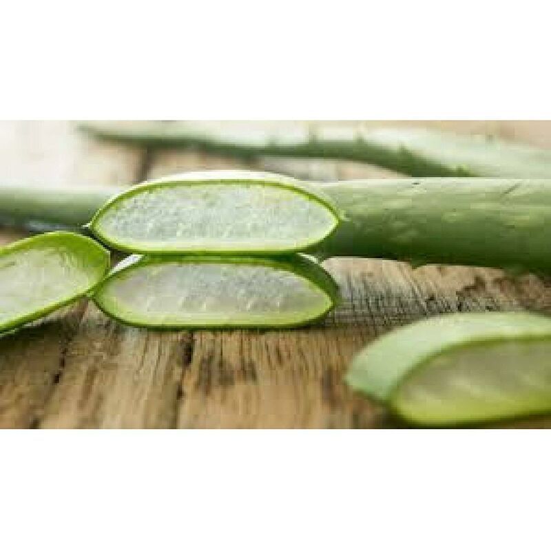 Cuscini Memory aloe vera alto 18 cm - Evergreen Web