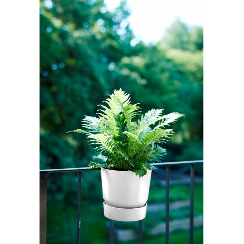 Vaso Ciotola da Balcone Elho Greenville 33 cm