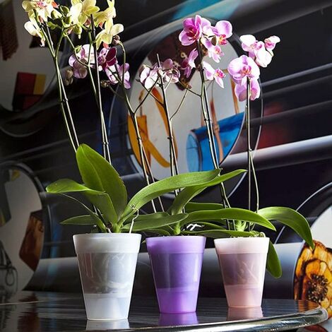 10 Pezzi Vaso di Fiori in Plastica Trasparente,Vaso Trasparente