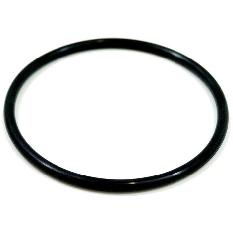 Junta tórica de campana para filtro Cintropur NW18/NW25/NW32 – Material de alta resistencia – Para filtración eficiente en agua (1/2)