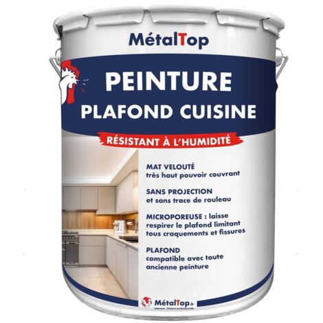 Peinture Plafond Cuisine - Pot 1 L - 7033 - Gris ciment - Metaltop (1/5)