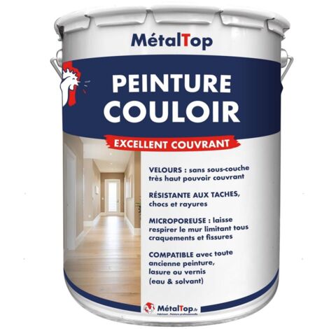 Peinture Couloir - Pot 15 L    - 7001 - Gris argent - Metaltop (1/5)