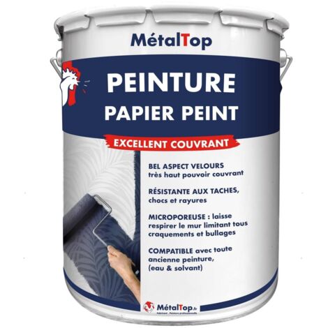 Peinture Papier Peint - Pot 1 L - 7033 - Gris ciment - Metaltop (1/5)