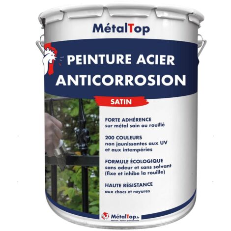 Peinture Acier Antico - Pot 1 L - 7016 - Gris anthracite - Metaltop (1/5)