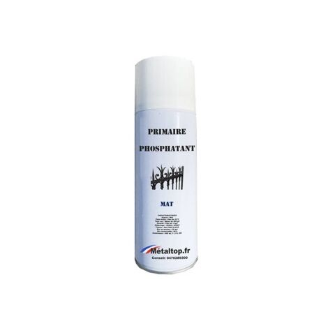 Antirouille carrosserie: 0,5L Wash Primaire phosphatant