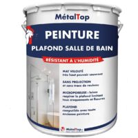 Peinture Plafond Salle De Bain - Pot 1 L - 1027 - Jaune curry - Metaltop