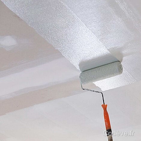 Peinture Plafond -  5 L   - Codeve Bois - RAL 9010 - Blanc pur - Intérieure Blanche Mat Pour La Décoration D'un Plafond Neuf, Ancien Ou Peint.
