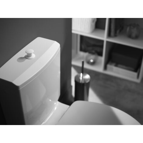 Mécanisme chasse d'eau wc simple chasse avec bouton poussoir à tirette MX Wirquin 10724084, gris