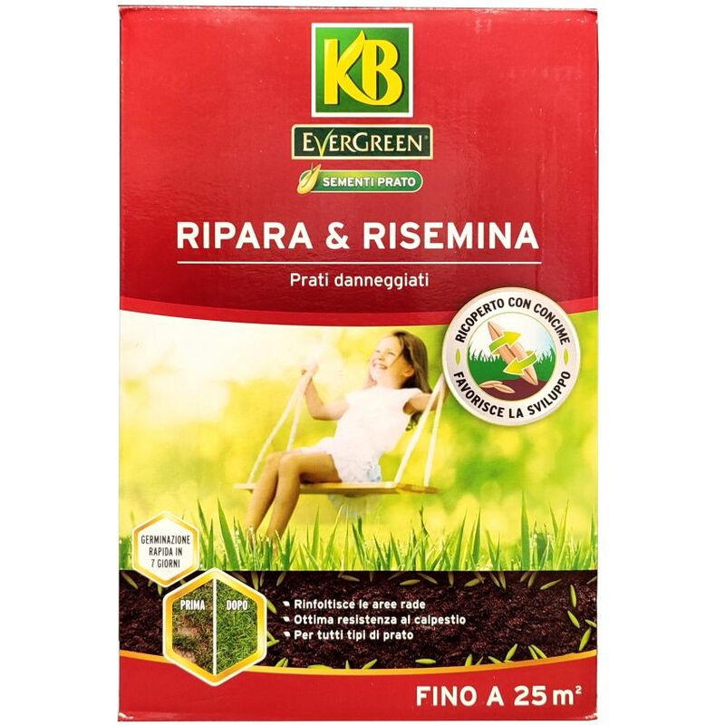 KB EVERGREEN RIPARA & RISEMINA semi semenza per prato 500 G 