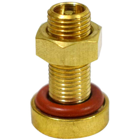 Aquasystem – Valve de gonflage pour réservoir à vessie – Embout en laiton pour compresseur d'air – Vérification annuelle recommandée