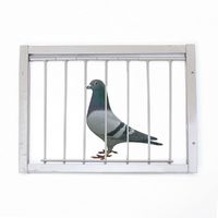 Pour loft BOBEINI Barres de porte en fil de fer pour trappe les pigeons Fournitures de course 