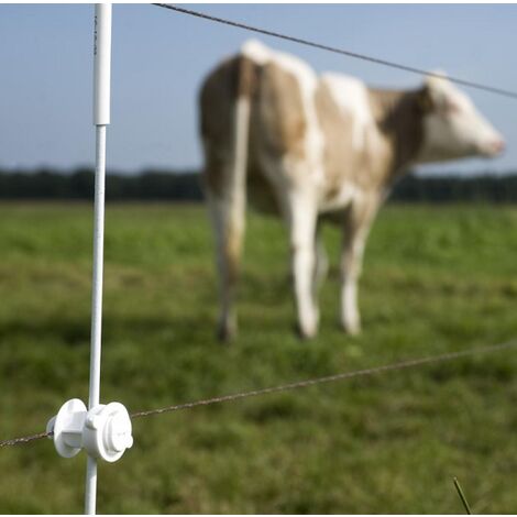 Isolatori per picchetti tondi recinto elettrico per Mucche e Cavalli 10  pezzi 