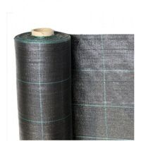 Telo per Pacciamatura Nero Quadrettato Tessuto Polipropilene Antistrappo - mt 16x 2,10 H