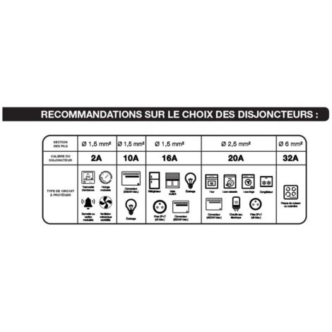 Disjoncteur 1P+N à vis 20A - 3kA type C NALTO