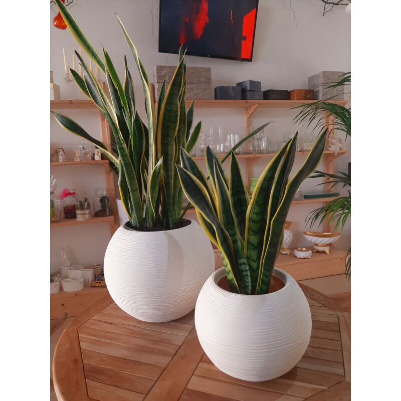 Vaso Caspo' Sfera Rigata Shabby Vasar in resina diametro 50cm - Colore: Bianco Perla