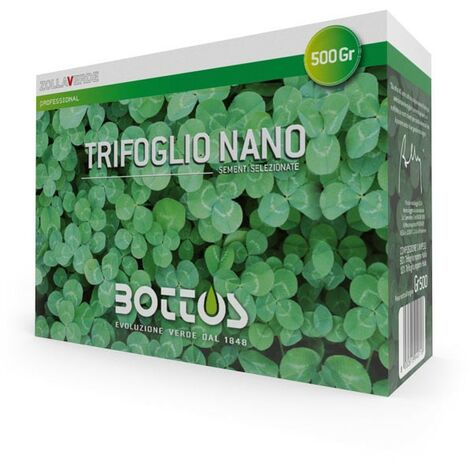 Bottos Dichondra Repens 500g – Tappeto Erboso Verde Pronto In 1 Settimana! - 4
