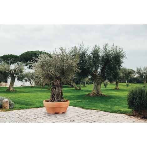 Vaso URSUS 120 (120 x 60H) in Resina per Piante di grandi dimensioni - Colore: Antracite