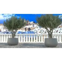 Vaso Urbano ACAYA 78 per piante in Resina di grosse dimensioni - Colore: Grey