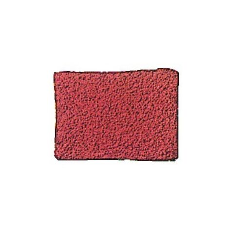 SOFOP TALIAPLAST - Colorant synthétique CIMENT ROUGE FONCE 1KG