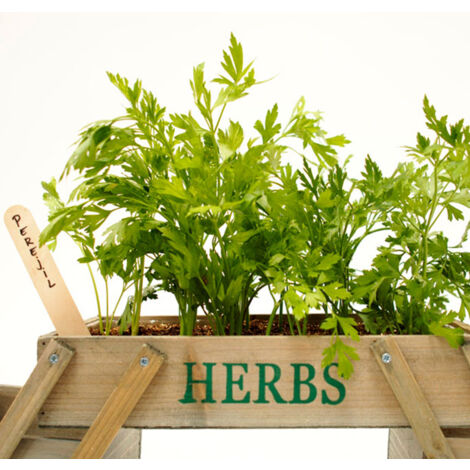 Mini huerta modelo plegable