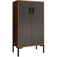 Aparador pequeño 2 puertas Armario multiuso Mueble auxiliar 60x110,5x35cm Modelo Lander L17 Color Nogal Ambar y Gris