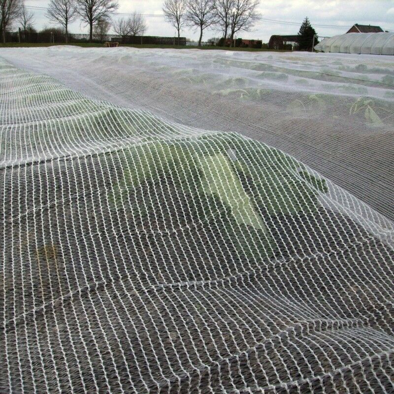 Rete Anti Insetti Per Orto 10x10 M | Protezione Da Uccelli E Insetti, Maglia Fine In PE, Resistente UV