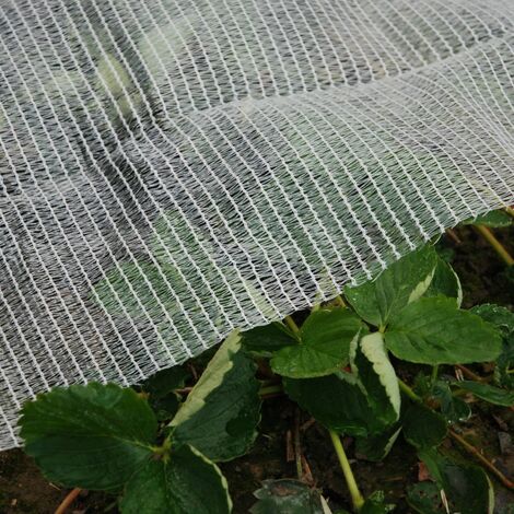 Rete Anti Gelo e Anti Cimice Anti strappo Permeabile Protegge colture piante orto da gelo e insetti, m 4x10