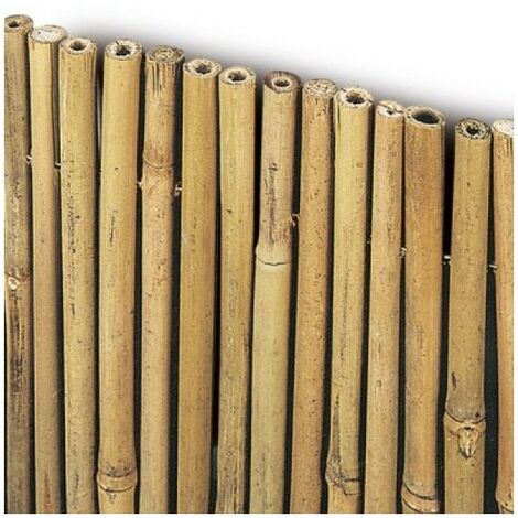 Arella Canniccio Bamboo Naturale Premium ombreggiante per recinzioni divisori paravento h m 1.5x3 (1/5)