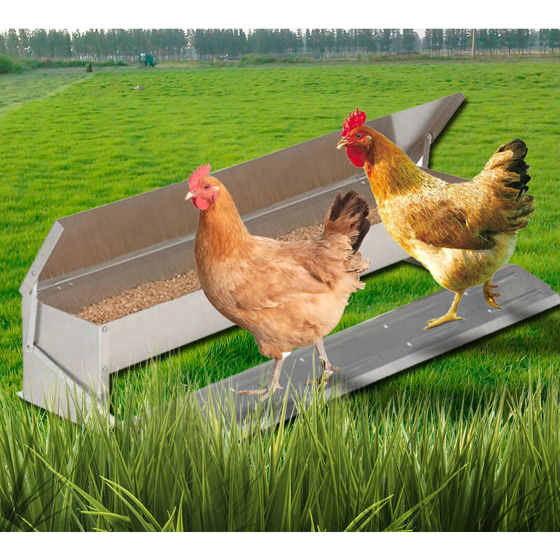TERRE JARDIN Mangeoire Poules 5kg - Acier Galvanisé, Pédale Automatique - Anti-Gaspillage, Étanche