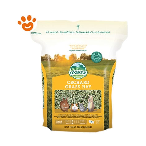 Oxbow, Fieno Alfalfa, 425 g : : Prodotti per animali