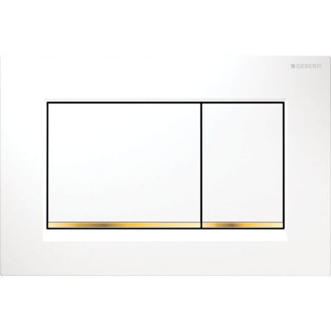 Geberit Sigma30 Betätigungsplatte, für 2-Mengen-Spülung,